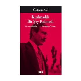 Kırılmadık Bir Şey Kalmadı - Özdemir Asaf