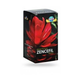 Kırıntı Baharat Bitkisel Karışımlı Zencefilli 420 gr Macun