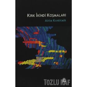 KIRK İKİNDİ KOŞMALARI - ADEM KANDEMIR