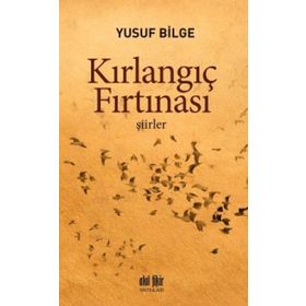 Kırlangıç Fırtınası - Yusuf Bilge
