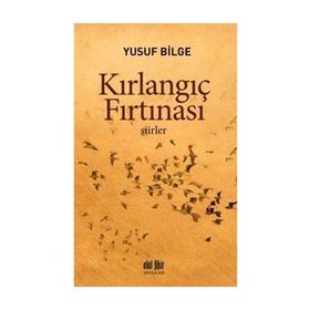 Kırlangıç Fırtınası - Yusuf Bilge