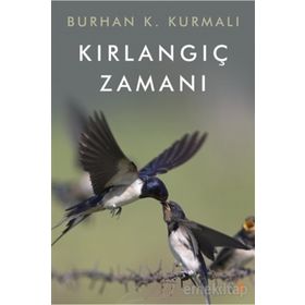 Kırlangıç Zamanı - Burhan K. Kurmalı