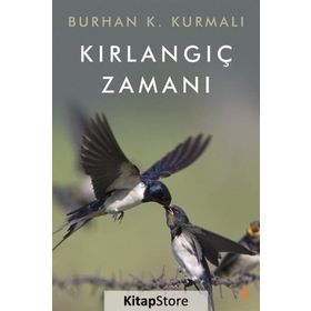 Kırlangıç Zamanı - Burhan K. Kurmalı