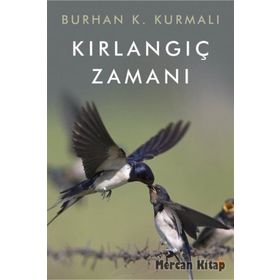 Kırlangıç Zamanı - Burhan K. Kurmalı