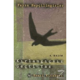 Kırlangıçsız Geçti Yaz - Feyza Hepçilingirler