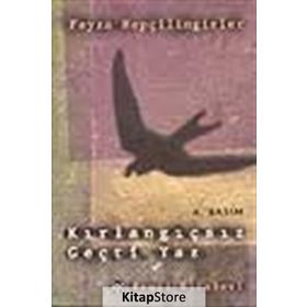 Kırlangıçsız Geçti Yaz - Feyza Hepçilingirler