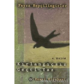 Kırlangıçsız Geçti Yaz - Feyza Hepçilingirler