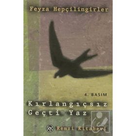 Kırlangıçsız Geçti Yaz - Feyza Hepçilingirler