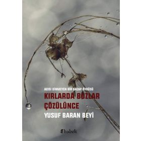 Kırlarda Buzlar Çözülünce - Yusuf Baran Beyi