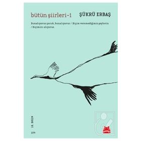 Kırmızı Kedi Yayınları Bütün Şiirleri -1