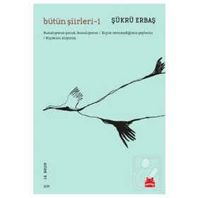Kırmızı Kedi Yayınları Bütün Şiirleri -1