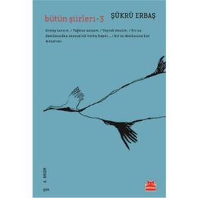 Kırmızı Kedi Yayınları Bütün Şiirleri 3