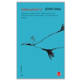 Kırmızı Kedi Yayınları Bütün Şiirleri 3