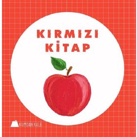 KIRMIZI KITAP - ENGIN GENÇTAN