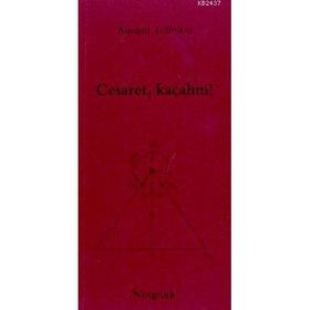 KIŞ YOLCULUĞU - EMINE CEYLAN