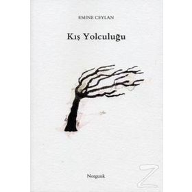 KIŞ YOLCULUĞU - EMINE CEYLAN