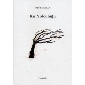 KIŞ YOLCULUĞU - EMINE CEYLAN