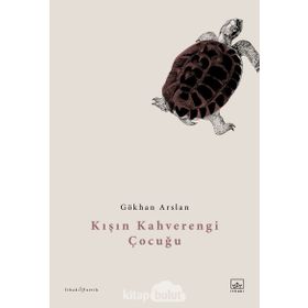 Kışın Kahverengi Çocuğu - Gökhan Arslan
