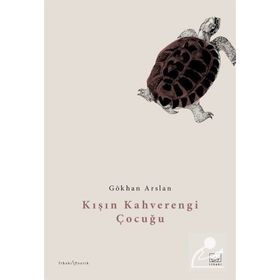Kışın Kahverengi Çocuğu - Gökhan Arslan