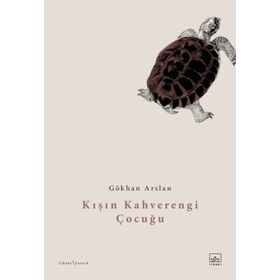 Kışın Kahverengi Çocuğu - Gökhan Arslan