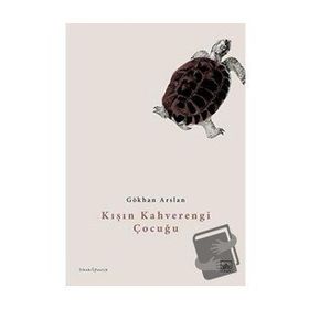 Kışın Kahverengi Çocuğu - Gökhan Arslan