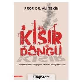Kısır Döngü - Ali Tekin