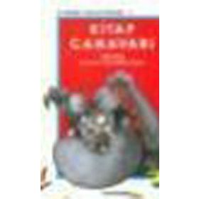 Kitap Canavarı - Aytül Akal