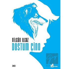 Kitap Çınar Yayınları Dostum Çino