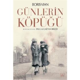 Kitap İthaki Yayınları Günlerin Köpüğü
