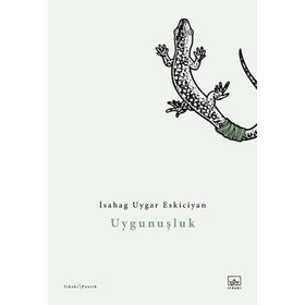 Kitap İthaki Yayınları Uygunuşluk