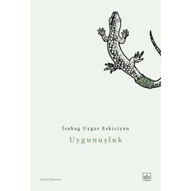 Kitap İthaki Yayınları Uygunuşluk