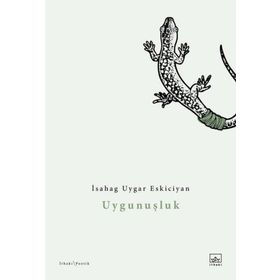 Kitap İthaki Yayınları Uygunuşluk