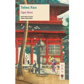Kitap İthaki Yayınları Yaban Kazı