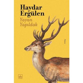 Kitap İthaki Yayınları Yayan Yapıldak
