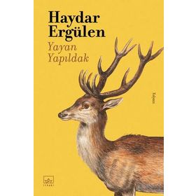 Kitap İthaki Yayınları Yayan Yapıldak