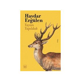 Kitap İthaki Yayınları Yayan Yapıldak