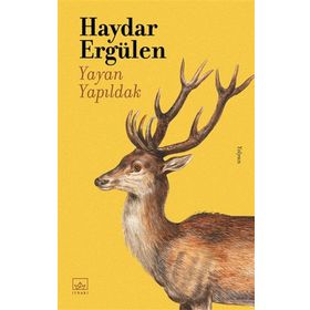 Kitap İthaki Yayınları Yayan Yapıldak