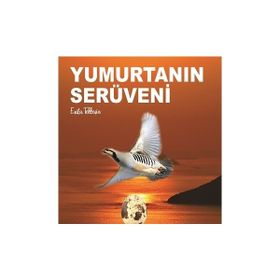 Kitap Kitap72 Yayınları Yumurtanın Serüveni