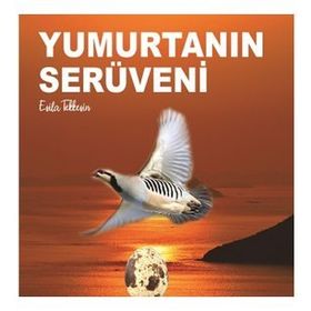 Kitap Kitap72 Yayınları Yumurtanın Serüveni