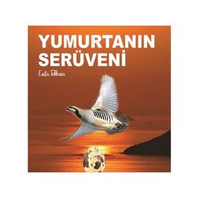 Kitap Kitap72 Yayınları Yumurtanın Serüveni
