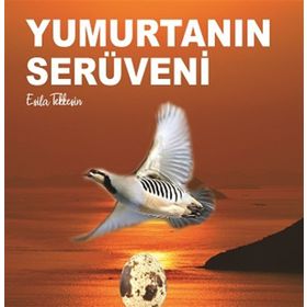 Kitap Kitap72 Yayınları Yumurtanın Serüveni