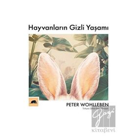Kitap Kolektif Kitap Hayvanların Gizli Yaşamı