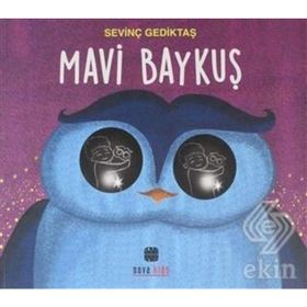 Kitap Mavi Baykuş Kitap