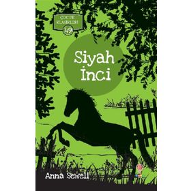 Kitap Mundi Siyah İnci