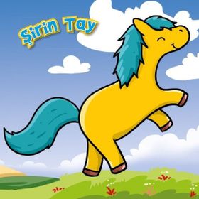 Kitap Net Çocuk Yayınları Şirin Tay Öykü Kitabı