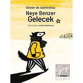 Kitap Tudem Yayınları Neye Benzer Gelecek