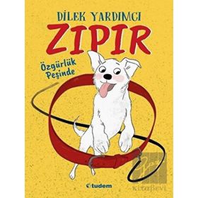 Kitap Tudem Yayınları Zıpır Özgürlük Peşinde