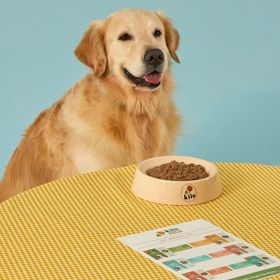 Kito 1.5 kg 6 Adet Fresh Somon Etli Köpek Maması