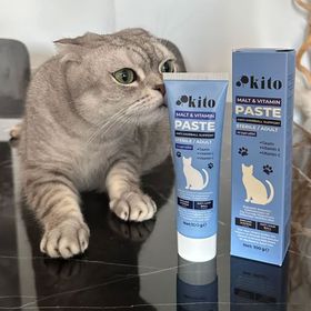 Kito 100 gr Kısır ve Yetişkin Kediler için Tüy Yumağı Önleyici Sindirim Destekleyici Malt Macunu