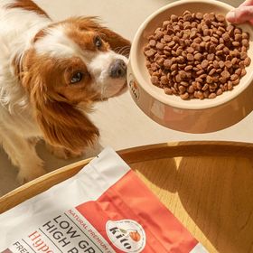 Kito 2.5 KG Yetişkin Mini Irk Köpek Maması + 6 Adet Kuzu Etli Fresh Köpek Maması